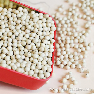 High-quality white pepper planting base production base